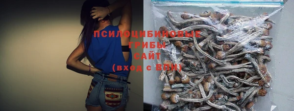 PSILOCYBIN Слюдянка