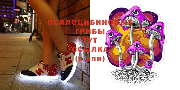 PSILOCYBIN Слюдянка