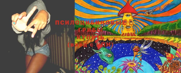 прущие крисы Алзамай