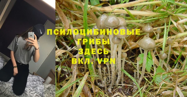 прущие крисы Алзамай